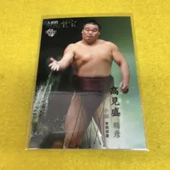 2026年最新】高見盛の人気アイテム - メルカリ