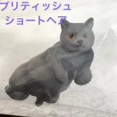 【ミニチュアプラネット】ブリティッシュショートヘア 猫 フィギュア ねこのサムネイル