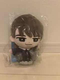 渡辺翔太 すのチルぶら下がらないシリーズ（BIGぬいぐるみver.）