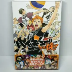 ハイキュー!! 排球援!! 未開封