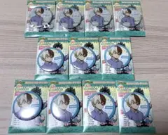 ヒロアカ フルカラー缶バッジ&グリッター缶バッジ 轟焦凍 11点セット