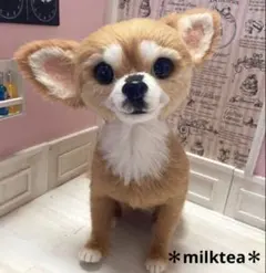 2025年最新】羊毛フェルト チワワの人気アイテム - メルカリ