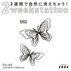 Item thumbnail for item de4be43c-56f5-491e-91c5-23283804effe