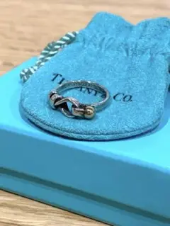 Tiffany & Co. フック＆アイ　リング　11号 2025年最新】ティファニー フック アイの人気アイテム - メルカリ