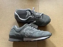 2025年最新】サンガッチョの人気アイテム - メルカリ