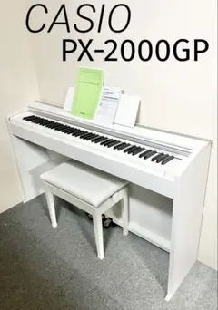 2026年最新】px 2000gpの人気アイテム - メルカリ