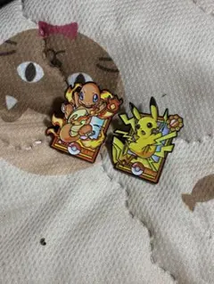 포켓몬 파이리 피카츄 ピンバッジ 2個セット