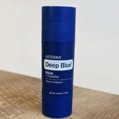 2025年最新】ドテラ ディープブルースティックの人気アイテム - メルカリ