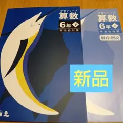 【書き込みなし】四谷大塚　予習シリーズ　算数　6年　下　有名校対策