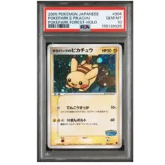 2026年最新】ポケパークのピカチュウ ファイルの人気アイテム - メルカリ