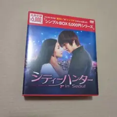 韓国ドラマ シティーハンター in Seoul DVD　全巻