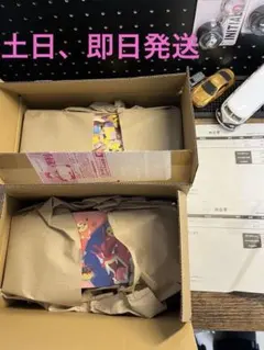 スペシャルBOX ポケモンセンタートウホク ポケモンセンターヒロシマ 完全未開封