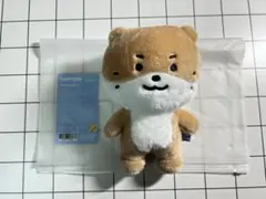 ミニティーン ディノ チャンダリ ぬいぐるみSEVENTEEN プラッシュトイ