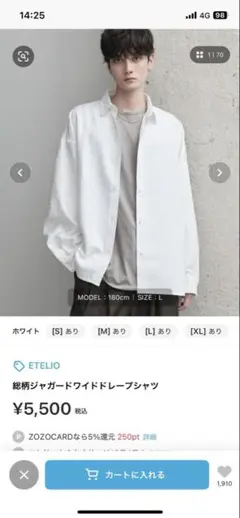【未使用】 ETELIO 総柄ジャガードワイドドレープシャツ ホワイト / M