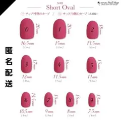 【匿名配送】ショートオーバル　計測用ネイルチップ