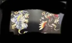 色違いミライドン　コライドン　ポケモンカード