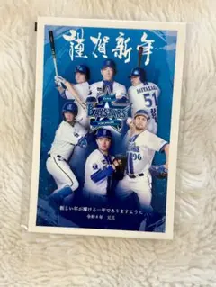横浜DeNAベイスターズ　2026年オリジナル年賀はがき　3枚　三浦大輔　番長