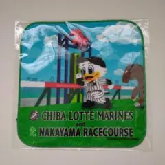 Item thumbnail for item 8150b011-a3a8-4c9b-b7f7-885836f32baa