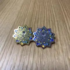 サウジアラビア　パビリオン限定ピンバッジ2つセット