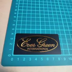 ガジロー様 リクエスト 2点 まとめ商品