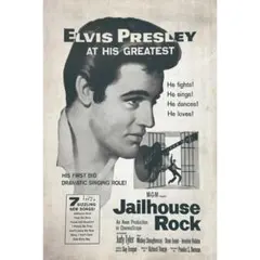 新品 ブリキ看板 レトロ インテリア エルビスプレスリー ジェイルハウスロック