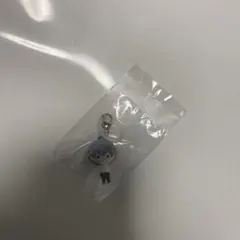 エヴァンゲリオン 渚カヲル　めじるしアクセサリー