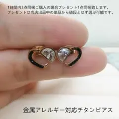 bj4099ハードモチーフK18PGP金属アレルギー対応チタンピアス