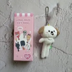 RIIZE アントン LITTLE RIIZE KEY RING モンリョンイ - メルカリ