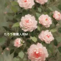 たろう様購入用M