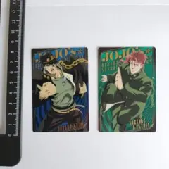ジョジョの奇妙な冒険 キャラクターカードセット 空条承太郎 花京院典明