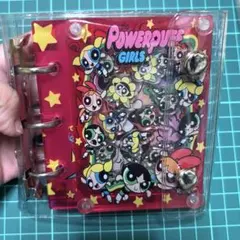 Powerpuff Girls パワパフ シャカシャカバインダー
