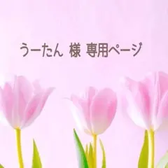 うーたん様専用ページです。