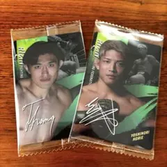 匿名発送★RIZINウエハース25 桜庭大世　堀江圭功