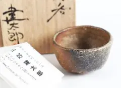 Item thumbnail for item 0367f7a9-4d91-4a1c-99d8-5f2bdafcc298