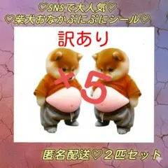 あこー様 リクエスト 5点 まとめ商品