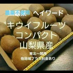 13キウイフルーツ　農薬不使用　わけあり　コンパクト　山梨県産