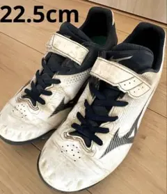 Item thumbnail for item d6518df8-5923-401c-8e28-e713b8c431cf