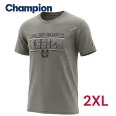 Champion【USED】全面プリント袖ロゴ 大きいサイズ2XL 半袖Tシャツ