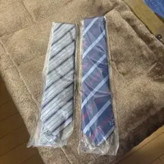 ROBERTO PARUDINI ストライプネクタイ 2本セット