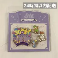 韓国限定！ポケモン30周年バースデーマグネットセット ピンバッジ カントー地方 韓国限定 ポケモン 30周年 マグネット ピンバッジ カントー地方 メガ