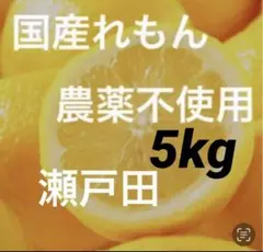 20国産瀬戸田レモン5kg - メルカリ
