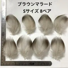 Item thumbnail for item 8d394d79-33b8-40b8-b442-31edaa2ae307