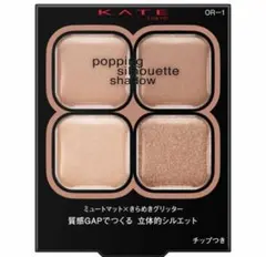 新品未開封　KATE (ケイト) ポッピングシルエットシャドウ OR-1