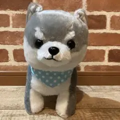 豆柴ちゃんぬいぐるみ