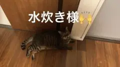 マクドナルドピカチュウ プロモカード