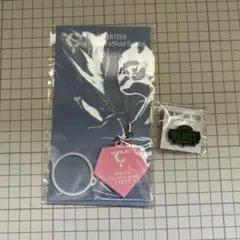 seventeen ファンクラブ特典　シーグリ　ピンバッチ