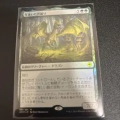 2025年最新】年老いた骨齧りの人気アイテム - メルカリ