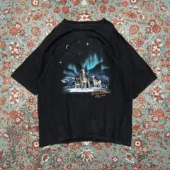 希少】フルーツオブルーム ベネツィア Tシャツ Lサイズ☆ - メルカリ