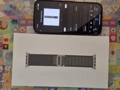 【新品未開封】純正 アップルウォッチ49mm Sアルパインループ・グリーン