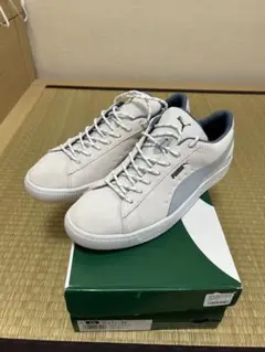 Item thumbnail for item 90783f45-050f-4355-b6a6-4f8e384e59fa